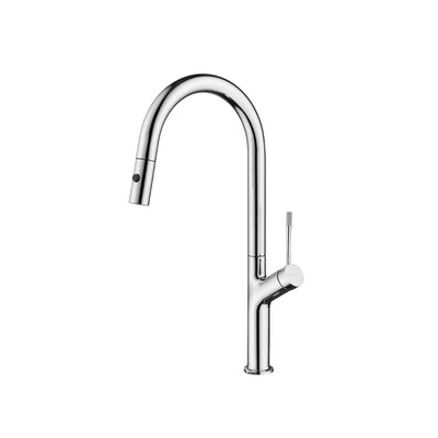 Mixer Tap with swivel spout and pull-out hand shower, with 2 jets