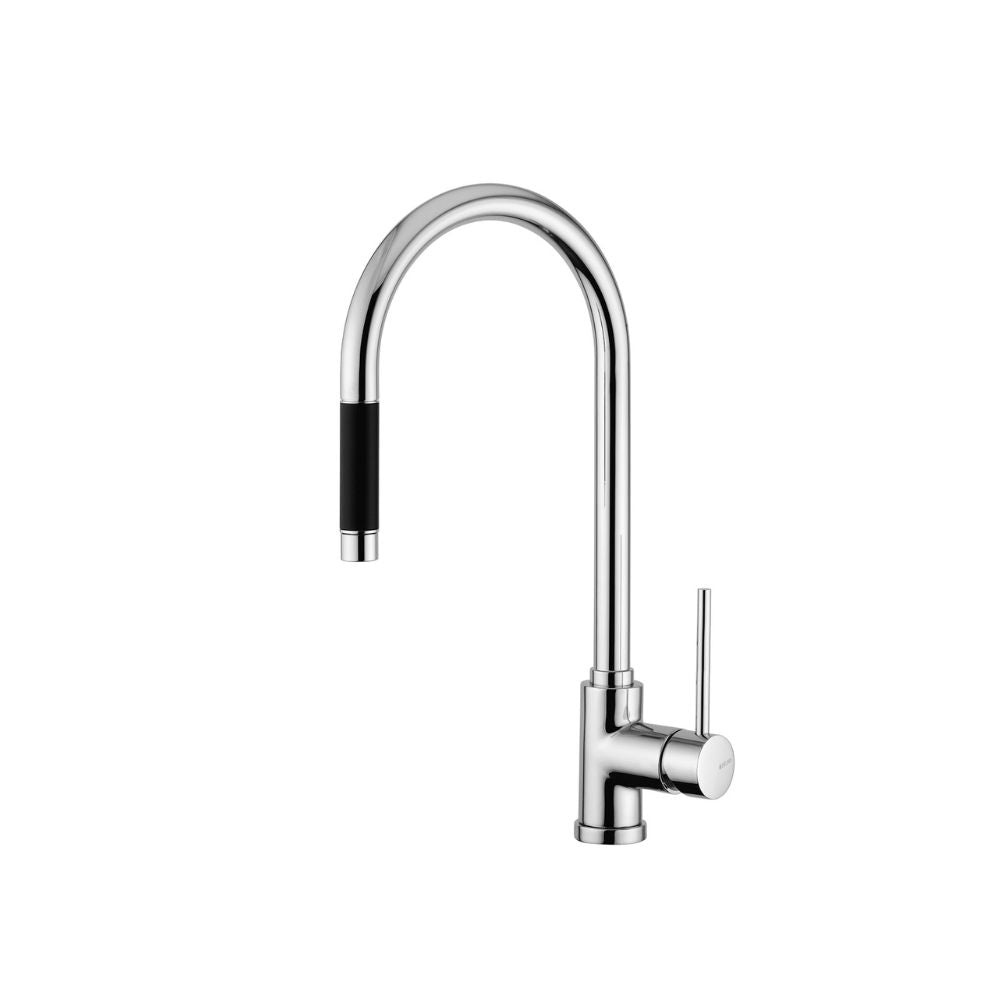 Dual Jet kitchen mixer tap with swivel spout and pull out hand shower